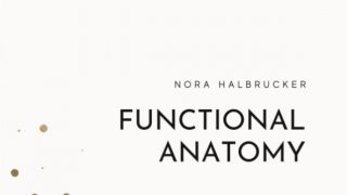 E-Book Download Functional Anatomy - bones, joints, muscles